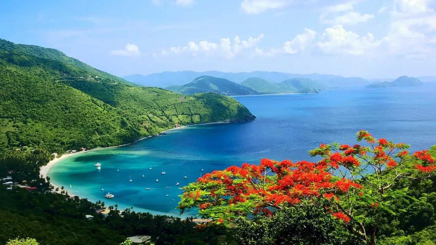 电子高效科技